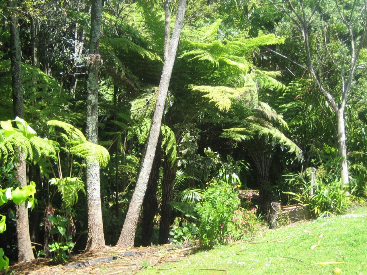 Whitby Studio - Mairangi Bay Beach Auckland Exterior photo